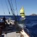Giraglia