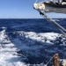CC 2021 26 08 Bonifacio photo Thibaud Assante DR (55)