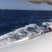 CC 2021 26 08 Bonifacio photo Thibaud Assante DR (87)
