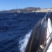 CC 2021 26 08 Bonifacio photo Thibaud Assante DR (106)