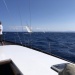 CC 2021 26 08 Bonifacio photo Thibaud Assante DR (122)