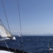 CC 2021 26 08 Bonifacio photo Thibaud Assante DR (124)