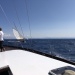 CC 2021 26 08 Bonifacio photo Thibaud Assante DR (125)