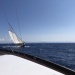 CC 2021 26 08 Bonifacio photo Thibaud Assante DR (127)