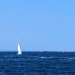 CC 2021 Bonifacio Taverna photo Thibaud Assante DR (8)