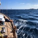 CC 2021 Bonifacio Taverna photo Thibaud Assante DR (11)