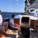 CC 2021 Bonifacio Taverna photo Thibaud Assante DR (17)