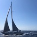 CC 2021 Bonifacio Taverna photo Thibaud Assante DR (24)