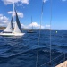 CC 2021 Bonifacio Taverna photo Thibaud Assante DR (30)