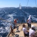 CC 2021 Bonifacio Taverna photo Thibaud Assante DR (44)
