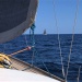 CC 2021 Bonifacio Taverna photo Thibaud Assante DR (77)