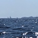 CC 2021 Bonifacio Taverna photo Thibaud Assante DR (80)