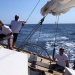 CC 2021 Bonifacio Taverna photo Thibaud Assante DR (81)