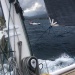CC 2021 Bonifacio Taverna photo Thibaud Assante DR (91)