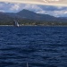 CC 2021 Taverna Macinaggio dimanche 29 aout photo Thibaud Assante DR (12)