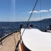 CC 2021 Taverna Macinaggio dimanche 29 aout photo Thibaud Assante DR (17)