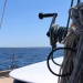 CC 2021 Taverna Macinaggio dimanche 29 aout photo Thibaud Assante DR (22)