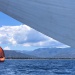 CC 2021 Taverna Macinaggio dimanche 29 aout photo Thibaud Assante DR (27)