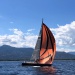 CC 2021 Taverna Macinaggio dimanche 29 aout photo Thibaud Assante DR (28)
