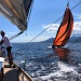 CC 2021 Taverna Macinaggio dimanche 29 aout photo Thibaud Assante DR (29)