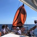 CC 2021 Taverna Macinaggio dimanche 29 aout photo Thibaud Assante DR (31)