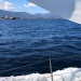 CC 2021 Taverna Macinaggio dimanche 29 aout photo Thibaud Assante DR (37)