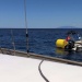 CC 2021 Taverna Macinaggio dimanche 29 aout photo Thibaud Assante DR (38)