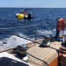 CC 2021 Taverna Macinaggio dimanche 29 aout photo Thibaud Assante DR (42)
