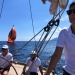 CC 2021 Taverna Macinaggio dimanche 29 aout photo Thibaud Assante DR (45)