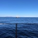 CC 2021 Taverna Macinaggio dimanche 29 aout photo Thibaud Assante DR (54)