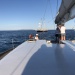 CC 2021 Taverna Macinaggio dimanche 29 aout photo Thibaud Assante DR (55)