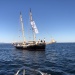 CC 2021 Taverna Macinaggio dimanche 29 aout photo Thibaud Assante DR (56)