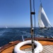 SY Cambria Voiles Antibes 2 06 2022 photo Thibaud Assante DR  (8)