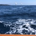 SY Cambria Voiles Antibes 2 06 2022 photo Thibaud Assante DR  (10)
