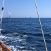 SY Cambria Voiles Antibes 2 06 2022 photo Thibaud Assante DR  (23)
