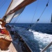 SY Cambria Voiles Antibes 2 06 2022 photo Thibaud Assante DR  (24)