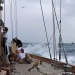 SY Cambria Voiles Antibes 3 06 2022 photo Thibaud Assante DR (5)