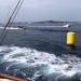 SY Cambria Voiles Antibes 4 06 2022 photo Thibaud Assante DR  (13)