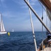 SY Cambria Voiles Antibes 5 06 2022 photo Thibaud Assante DR (11)