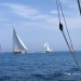 SY Cambria Voiles Antibes 5 06 2022 photo Thibaud Assante DR (33)