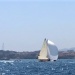 SY Cambria Voiles Antibes 5 06 2022 photo Thibaud Assante DR (48)