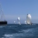 SY Cambria Voiles Antibes 5 06 2022 photo Thibaud Assante DR (53)