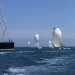 SY Cambria Voiles Antibes 5 06 2022 photo Thibaud Assante DR (53)