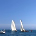 SY Cambria Voiles Antibes 5 06 2022 photo Thibaud Assante DR (59)