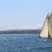 SY Cambria Voiles Antibes 5 06 2022 photo Thibaud Assante DR (62)
