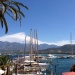IMG_6344 IMG_6344