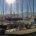 IMG_6366 IMG_6366
