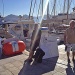 IMG_6368 IMG_6368
