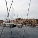IMG_6386 IMG_6386
