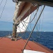 IMG_6387 IMG_6387